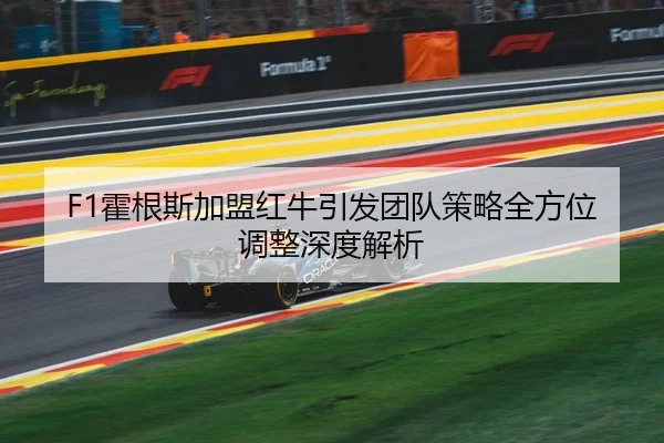 F1霍根斯加盟红牛引发团队策略全方位调整深度解析 | TIANBO SPORTS